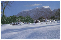 Pizzo Carbonara in winter.